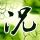 阿凡达