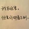 鲨鱼